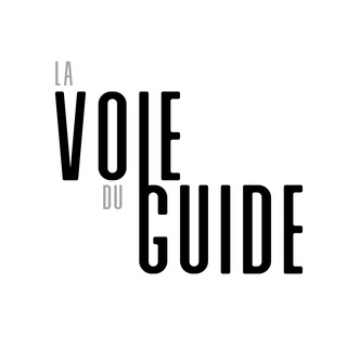 Логотип канала voieduguide