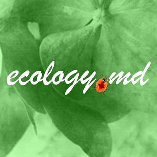 Логотип канала ecologymd