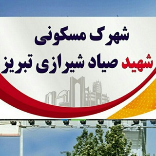 Логотип shsayyadshirazi