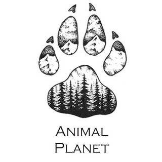 Логотип animal_planeta