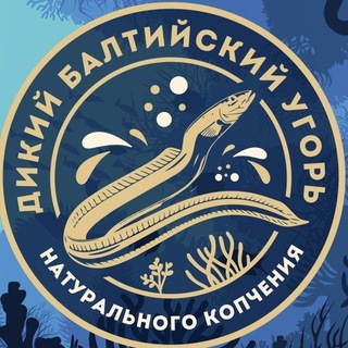 Логотип канала baltiyskiyugor