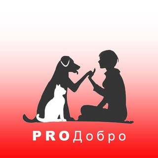 Логотип канала prodobroteam