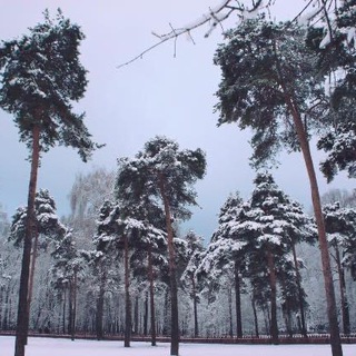 Логотип канала greenpreo