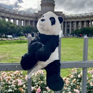 Логотип канала panda_paul