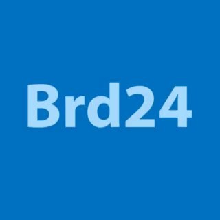 Логотип brd24_discord