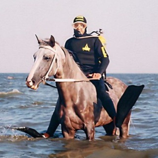 Логотип канала horse_divers