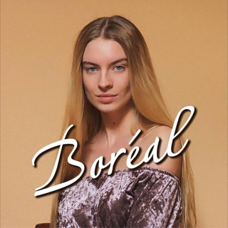 Логотип boreal_studia