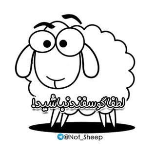 Логотип канала not_sheep