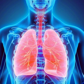 Логотип канала respiratory_system_data