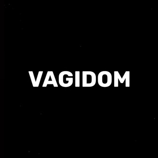 Логотип канала vagidom