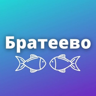 Логотип канала brateevomsk