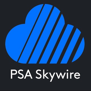 Логотип канала skywirepsa