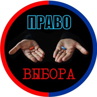 Логотип канала pravo_viborz