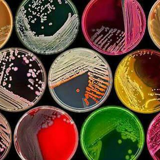 Логотип microbiology_lab1