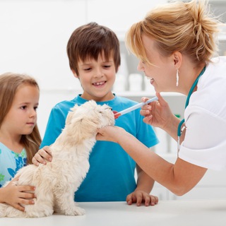 Логотип канала samsebeveterinar