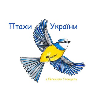 Логотип канала birds_of_ukraine