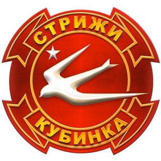 Логотип канала swiftsaerobaticteam