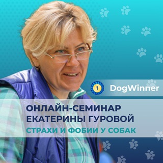 Логотип канала dogwinner_gurova