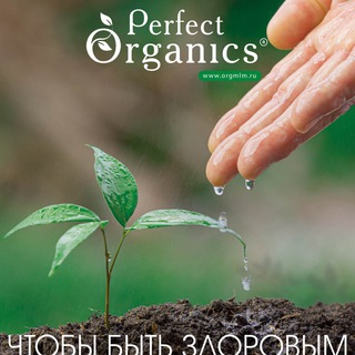 Логотип канала perfect_organics_life