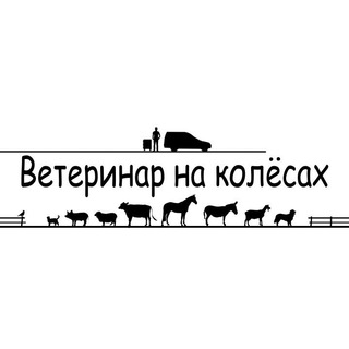 Логотип канала vet_bez_granic