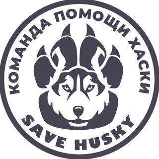 Логотип канала SAVE_HUSKY