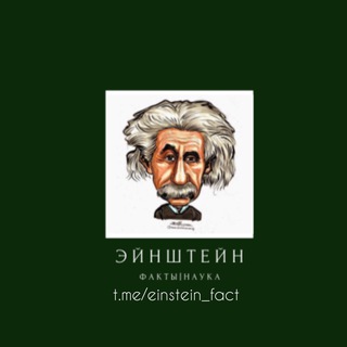 Логотип канала einstein_fact