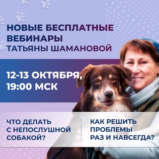 Логотип канала dogwinner_vebinar_okt2022