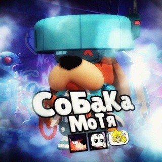 Логотип канала dogcatik