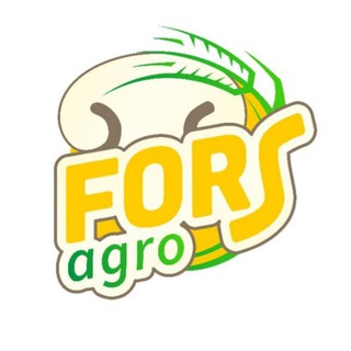 Логотип канала fors_grib_agro