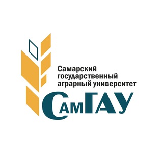 Логотип канала samgau163