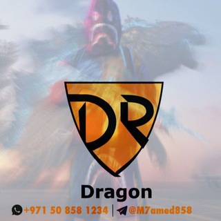 Логотип канала dragon_uae