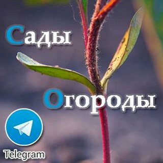 Логотип канала sad_ogorod