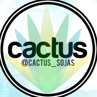 Логотип канала cactus_sojas