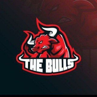 Логотип канала bigbullcric99