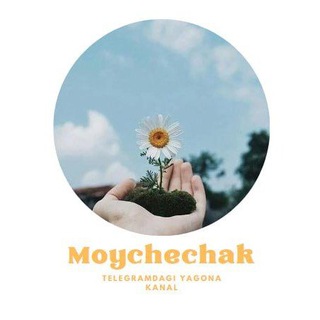 Логотип канала moychechak