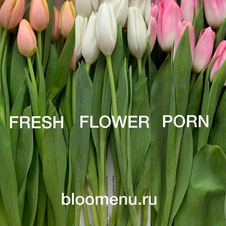 Логотип канала bloomenu