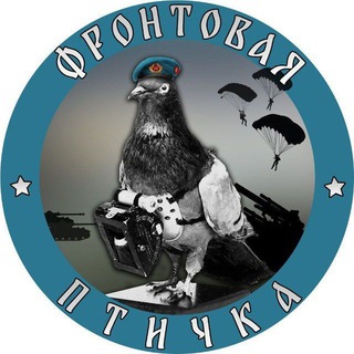 Логотип канала frontbird
