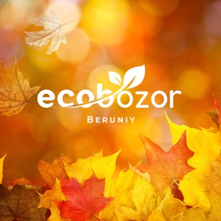 Логотип ecobozor_beruniy