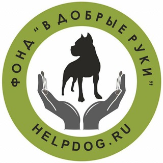 Логотип канала helpdogru