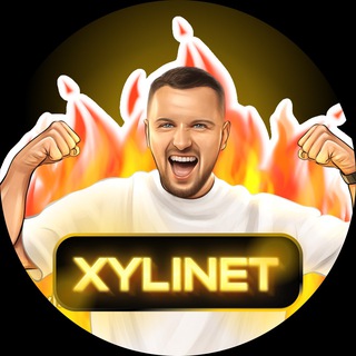 Логотип XYLINET_PRO