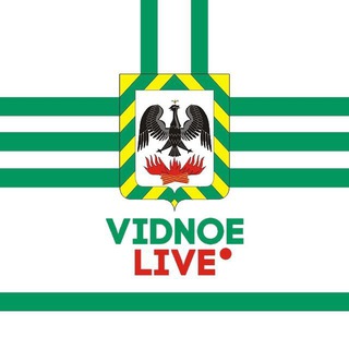 Логотип vidnoeliveschat