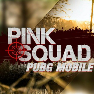 Логотип канала pink_squad_lite_chat2