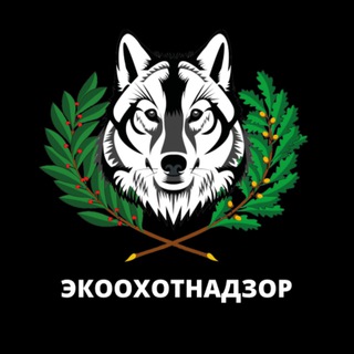 Логотип канала ekoohotnadzor31