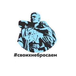 Логотип канала vdv_volkov
