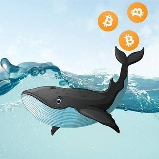 Логотип канала mrwhale_crypto