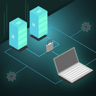 Логотип dotnetbackendstudy