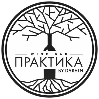 Логотип канала praktikabydarvin