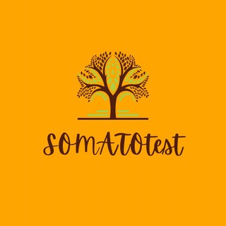 Логотип канала somatotest