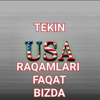 Логотип канала usa_nomerl_tekin