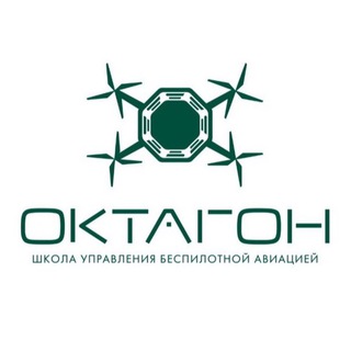 Логотип канала bpla_octagon